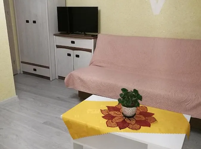 홈스테이 Goscinne Bryza